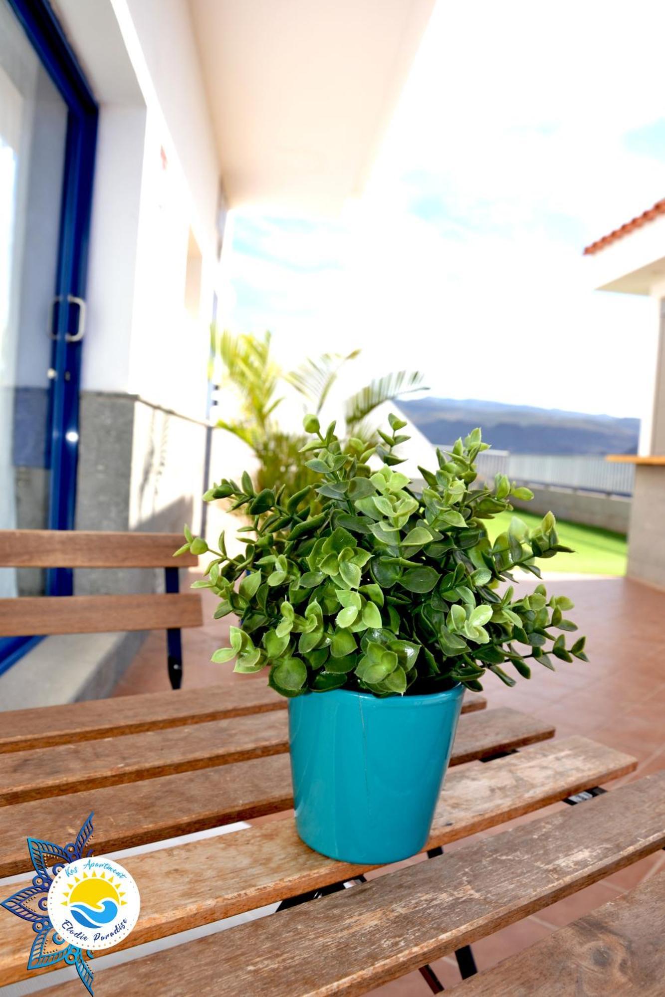 Kos Apartment - Elodie Paradise Mogán エクステリア 写真